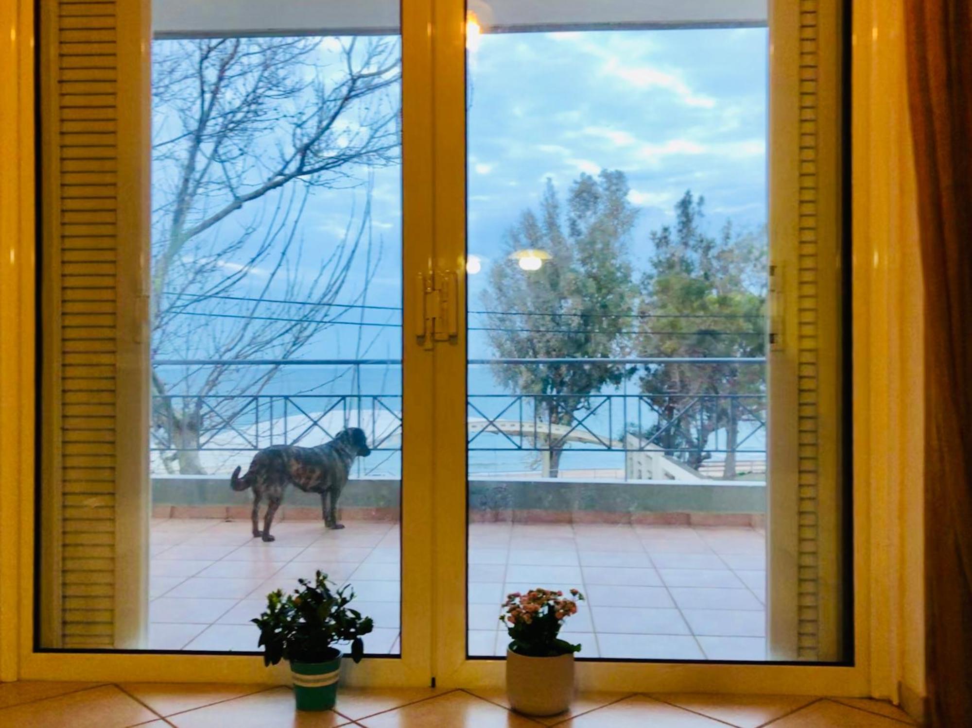 Vila Chloe'S Sunrise Beach House Atény Exteriér fotografie